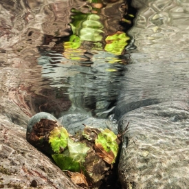 Over-Underwater