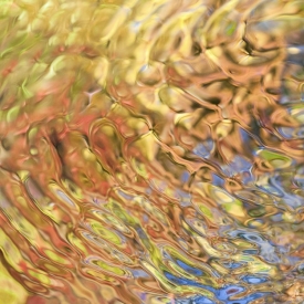 Rivers & Streams