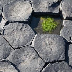 Stone